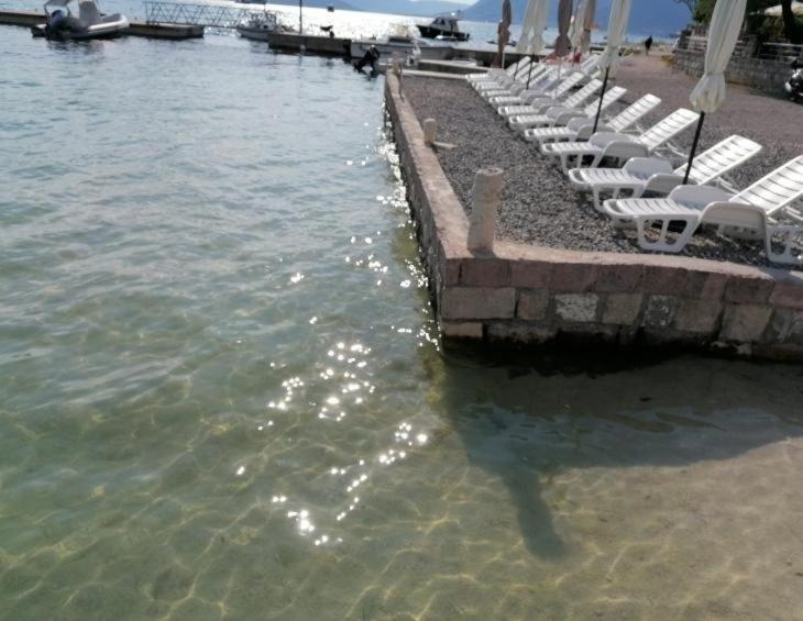 Ferienwohnung Tondo Tivat Exterior foto