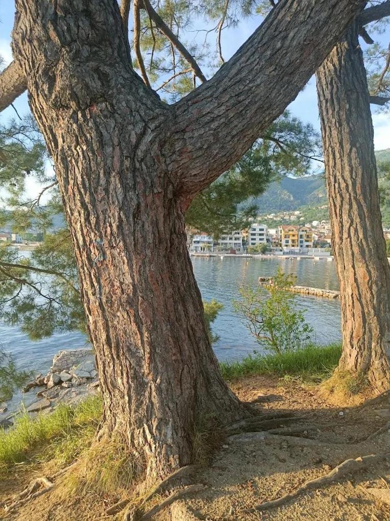 Ferienwohnung Tondo Tivat Exterior foto